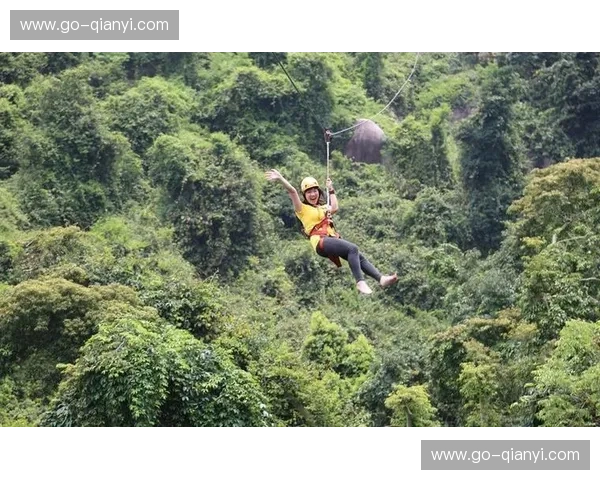 攀岩赛程——从集合号角到巅峰一跃的全程故事